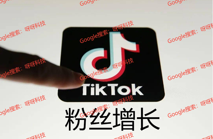 tiktok如何快速涨粉，tiktok变现方法